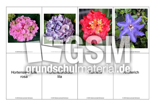 Blumen-Memo-Aufdeckspiel-6.pdf